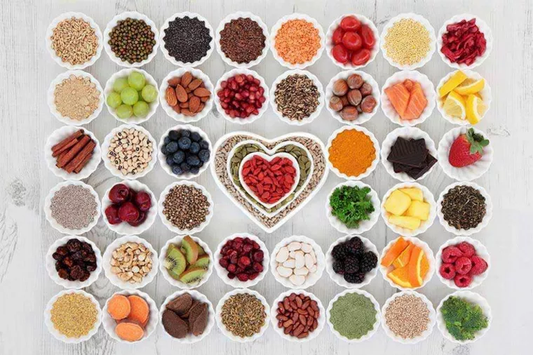 Diététique thérapeutique : pathologies, Saint-Beauzire, Marine Servier